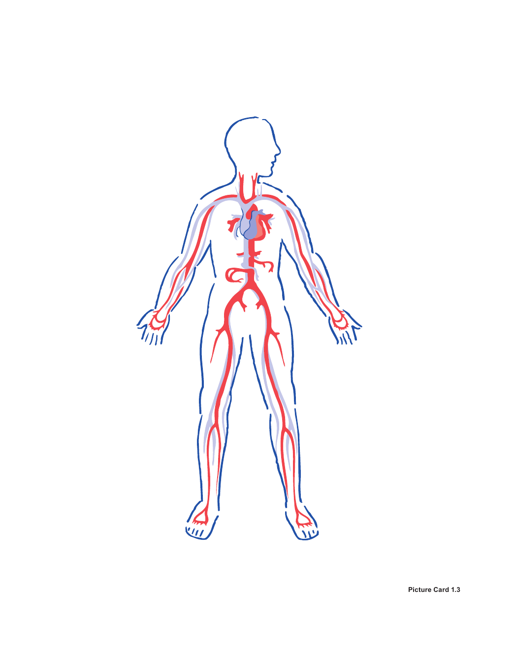 Reference PDF